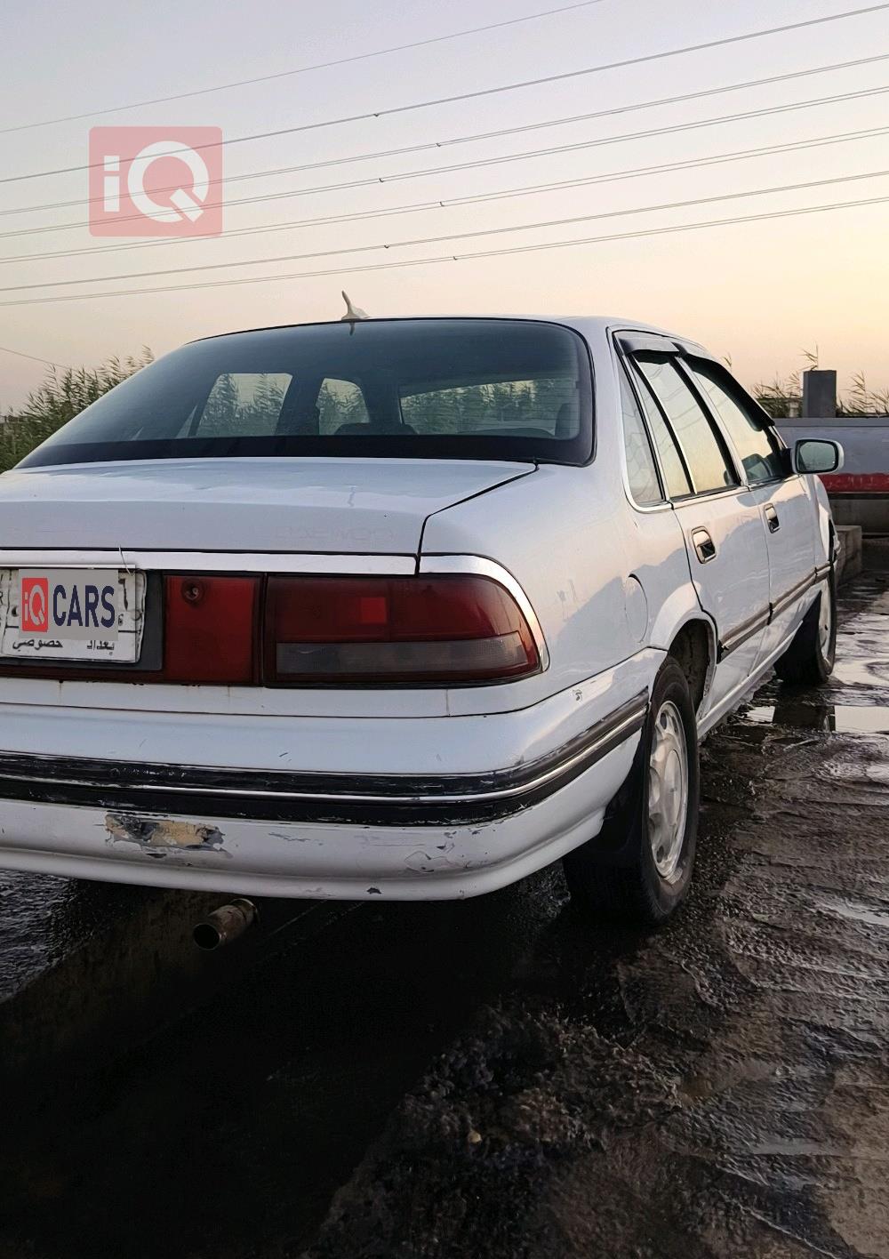 دايو برنس